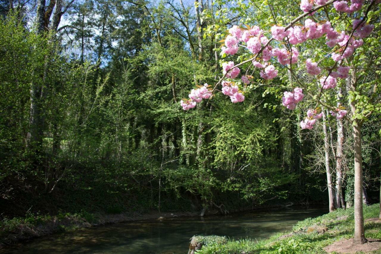 Gîte Moulin de la Serrée Nuits-Saint-Georges Extérieur photo