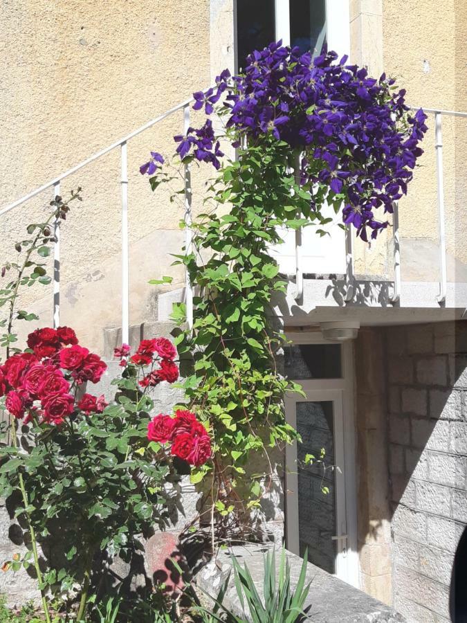 Gîte Moulin de la Serrée Nuits-Saint-Georges Extérieur photo